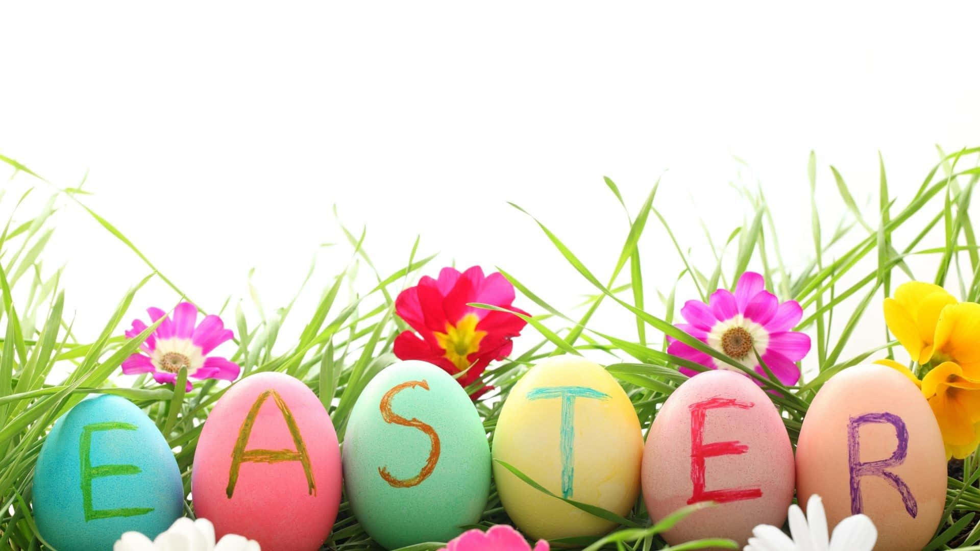 四月 桌布 壁紙 — 色彩繽紛的復活節彩蛋拼出單詞Easter， nestled在充滿活力的綠草和盛開的花朵中。