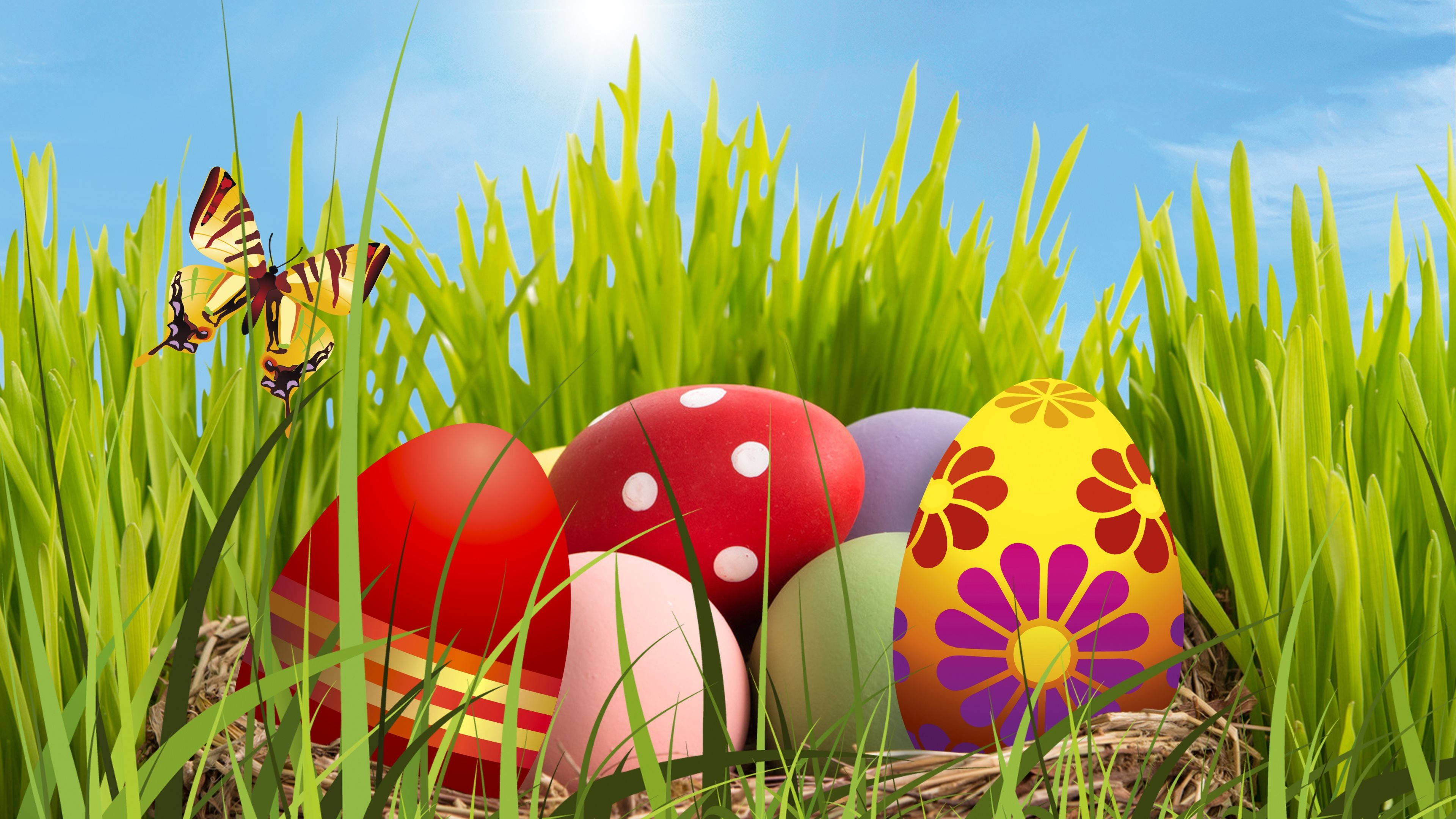 Easter 桌布 壁紙 — 色彩繽紛的復活節蛋裝飾品，藏在高高的綠草中，在明亮的藍天下，附近有蝴蝶翩翩飛舞。