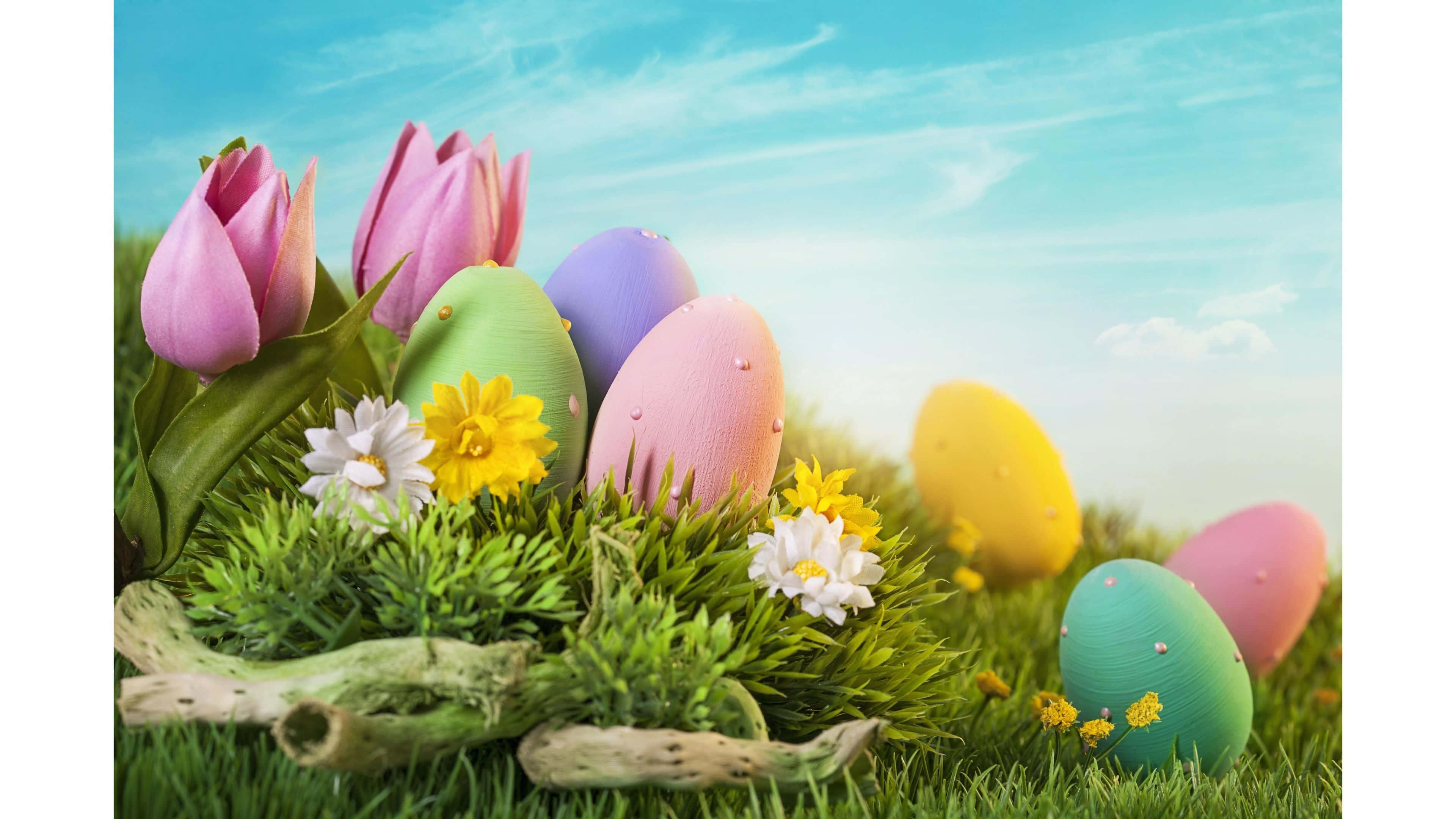 Pastel Easter 桌布 壁紙 — 色彩繽紛的復活蛋和粉紅色鬱金香，點綴在充滿活力的綠草中，上方是明亮的藍天。