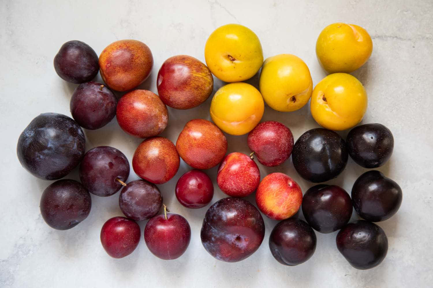Red Plum 桌布 壁紙 — 色彩繽紛的李子和杏桃，呈現豐富的紅色、黃色和紫色，排列在淺色紋理表面上。