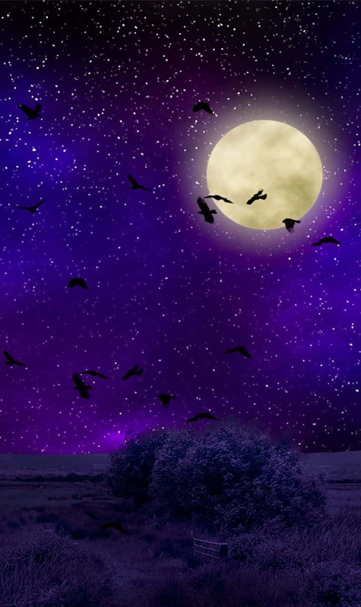 滿月、沙漠、飛鳥、繁星點點的紫色天空