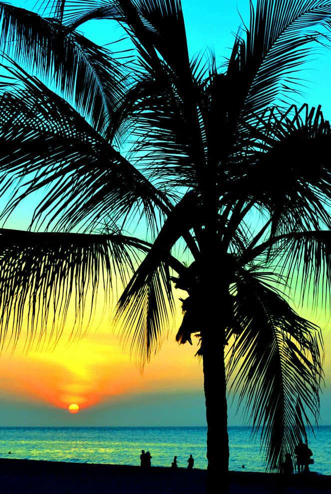 色彩繽紛的海灘景色；夕陽西下椰子樹後 壁紙 — 棕櫚樹的剪影框住了海洋上充滿活力的日落，下方有小小的海灘遊客。