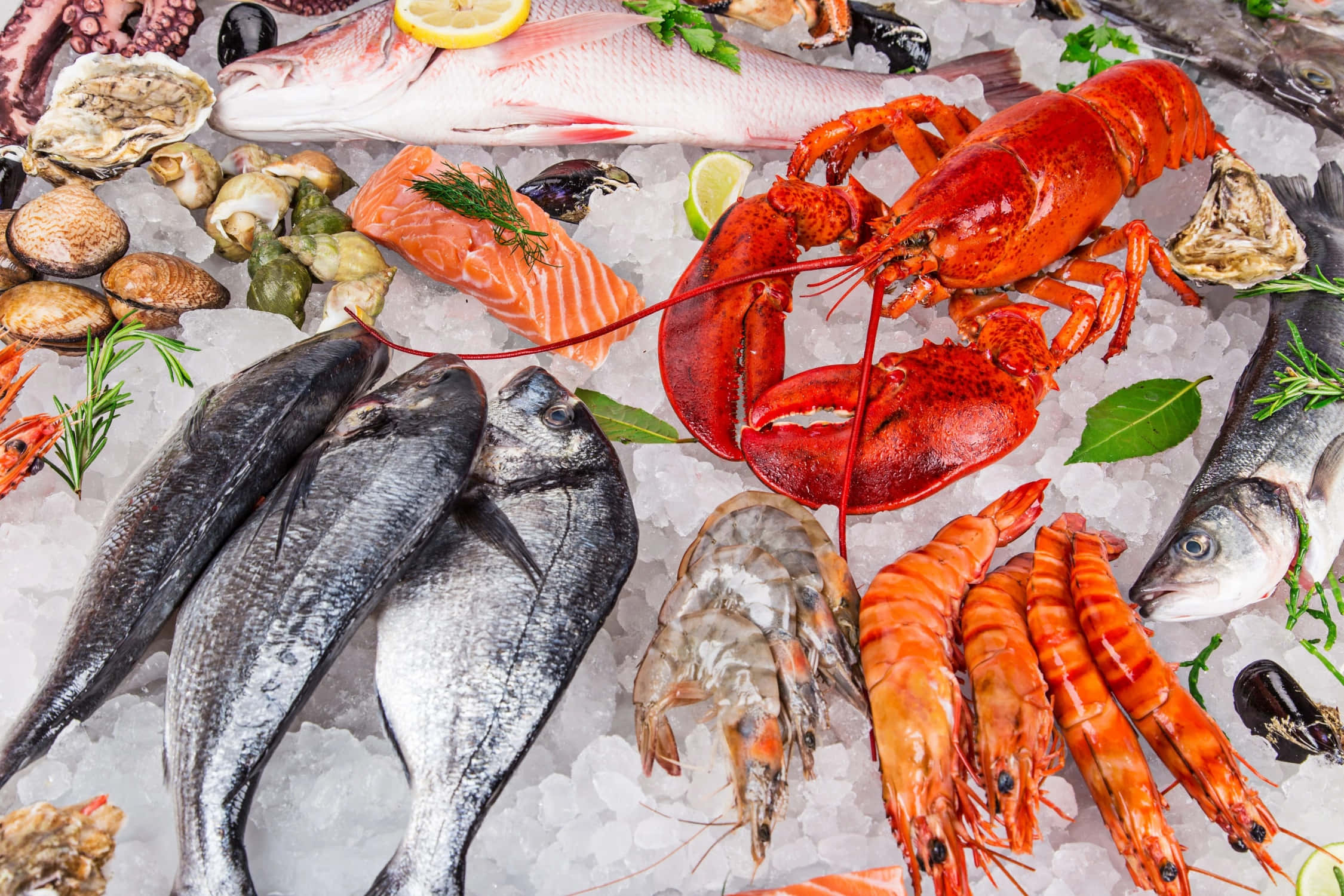 Seafood 桌布 壁紙 — 色彩繽紛的海鮮展示，包括鮮紅龍蝦、三文魚、蝦及各類魚，擺放在碎冰上，配以檸檬和香草。