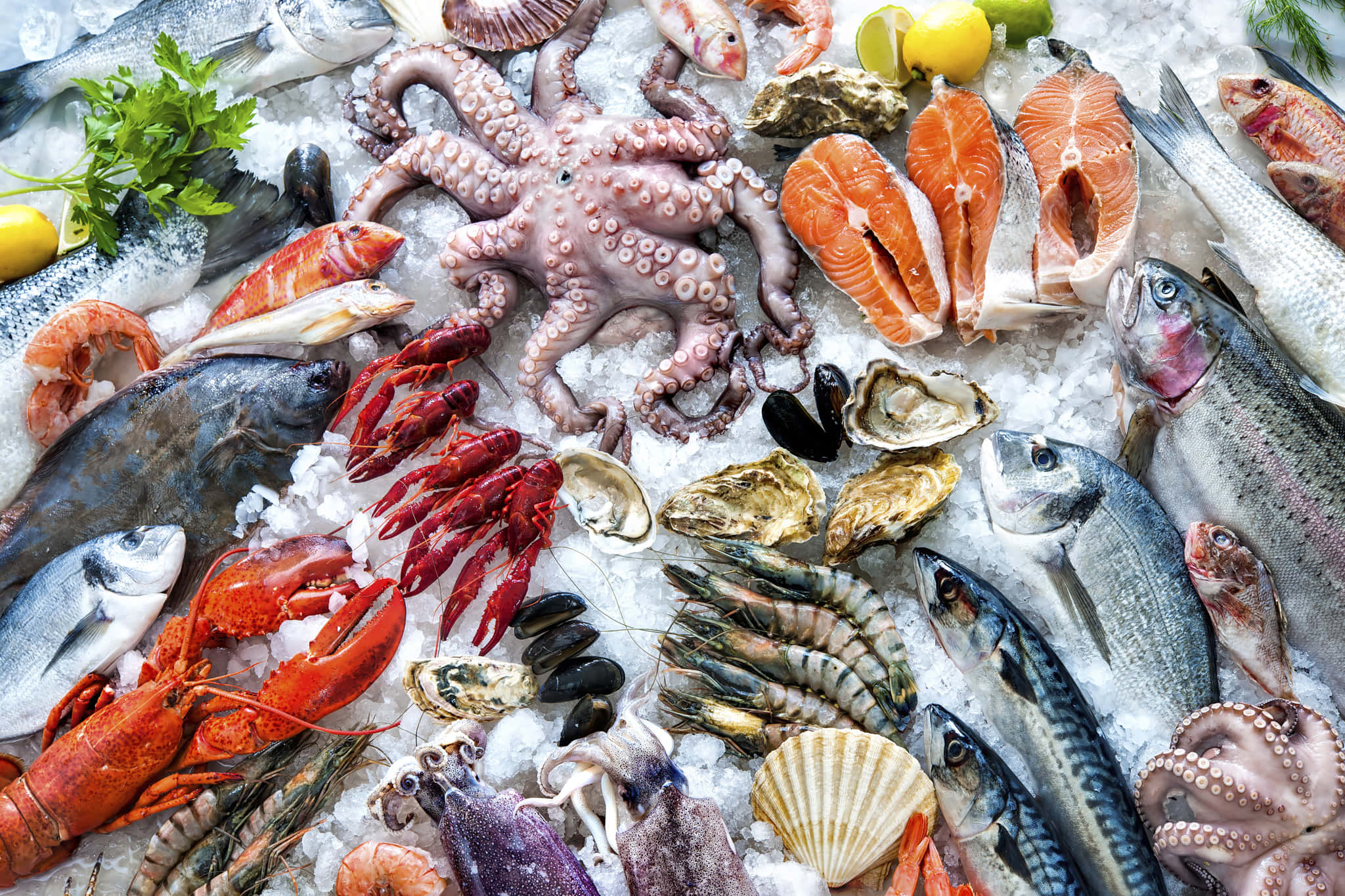 Seafood 桌布 壁紙 — 色彩繽紛的海鮮拼盤，包括八爪魚、龍蝦、三文魚和青口，放在碎冰上，配以檸檬和香草。
