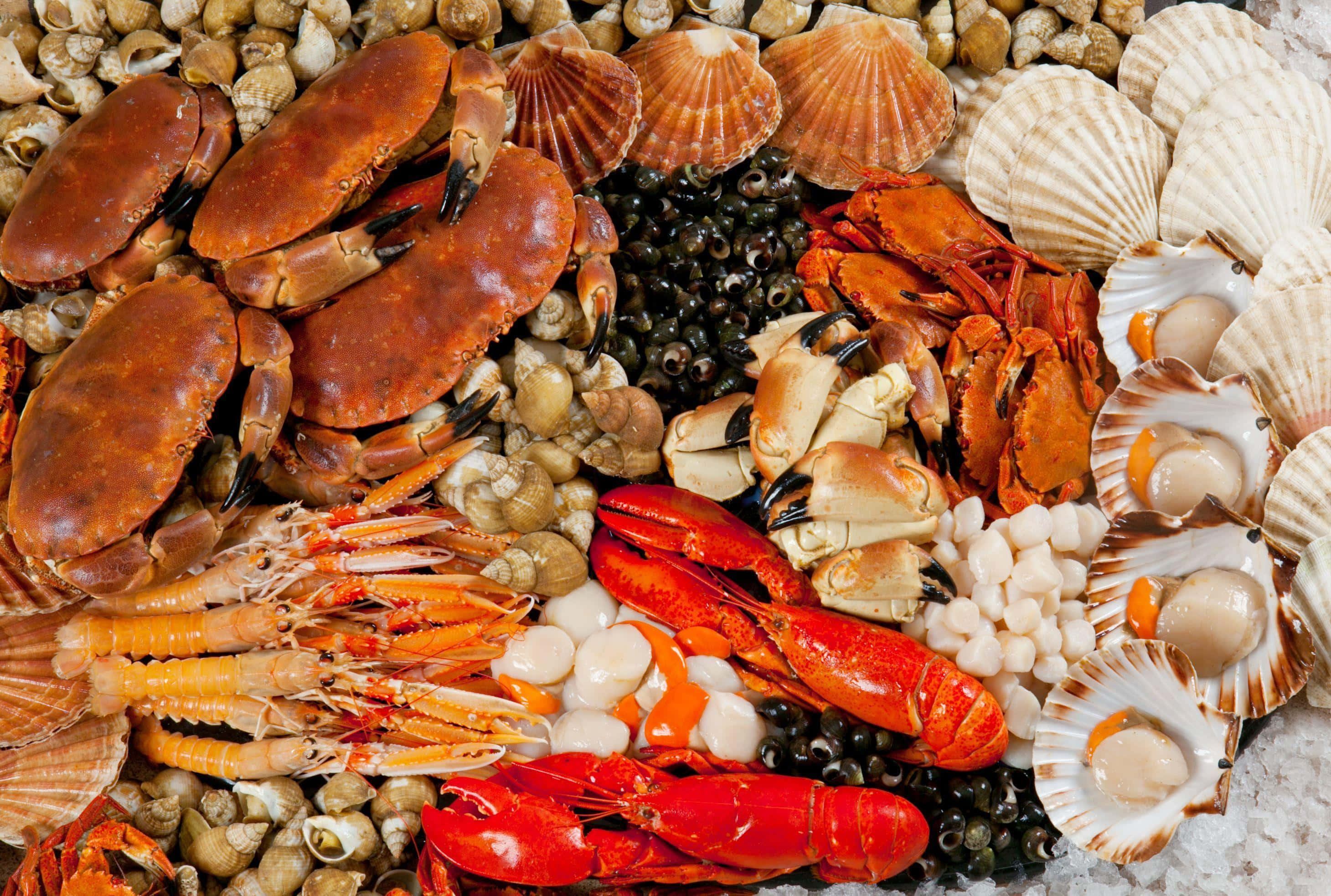 Seafood 桌布 壁紙 — 色彩繽紛的海鮮拼盤，包括螃蟹、龍蝦、蛤蜊和扇貝，擺放在冰和貝殼上。
