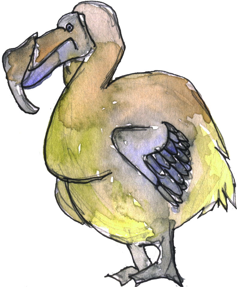 色彩繽紛的渡渡鳥插畫 壁紙 — 一隻渡渡鳥的水彩插圖，身體呈黃綠色，翅膀呈藍色，背景為黑色。