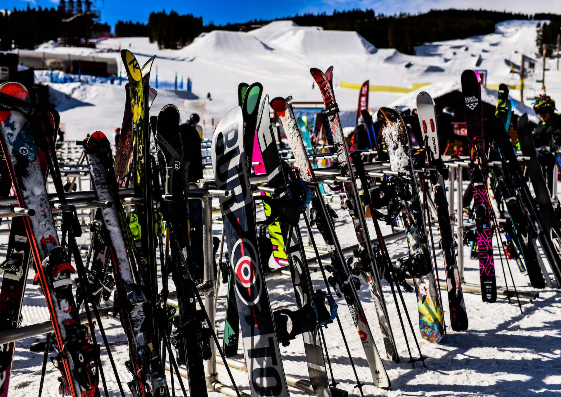 Ski Resort 桌布 壁紙 — 色彩繽紛的滑雪板和單板滑雪板在陽光明媚的滑雪勝地中直立於雪地上，背景是修整過的滑雪道和樹木繁茂的山丘。