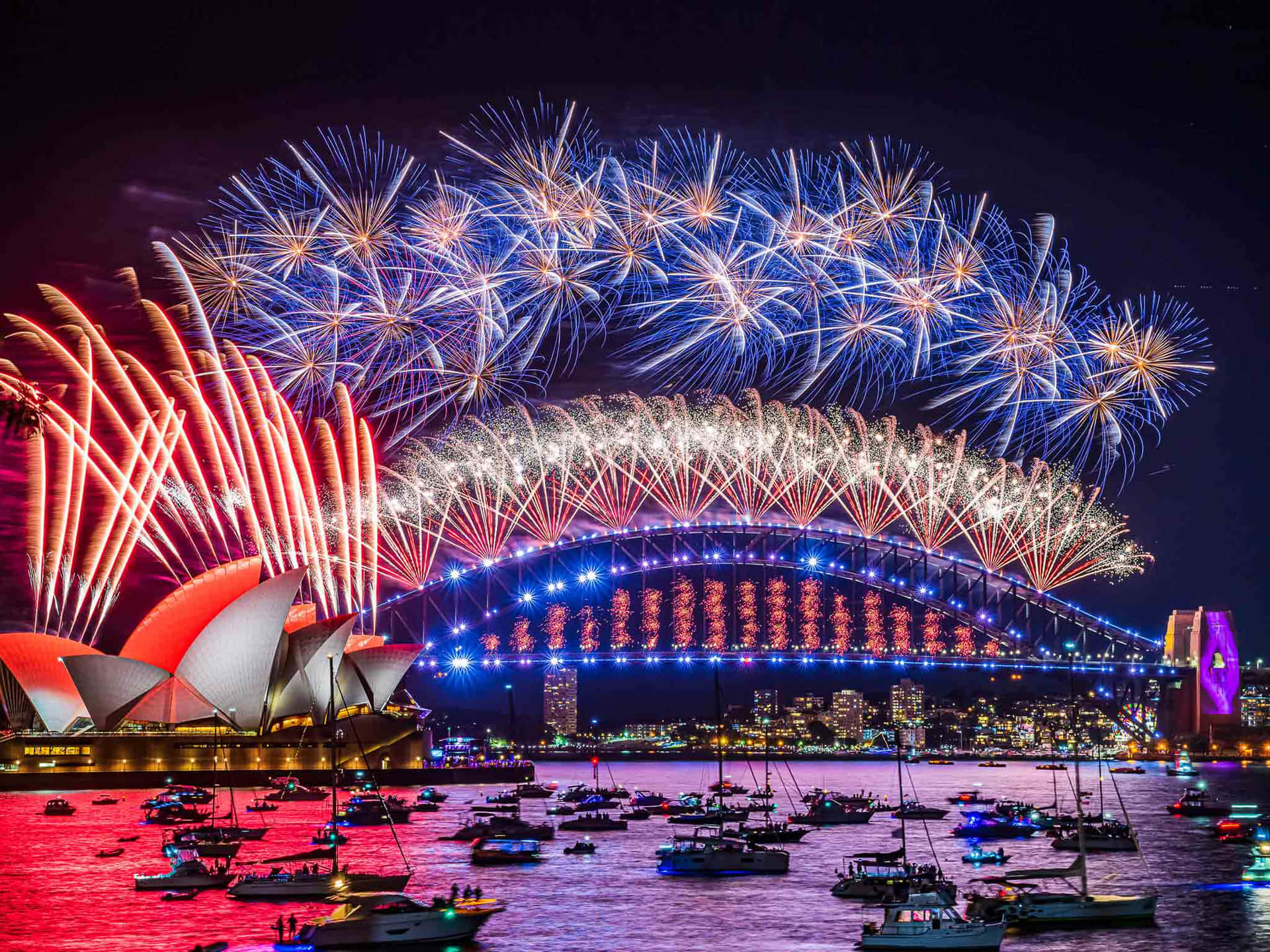 悉尼港上空的煙火，歌劇院和海港大橋在夜間被點亮。 — 新年動畫 壁紙