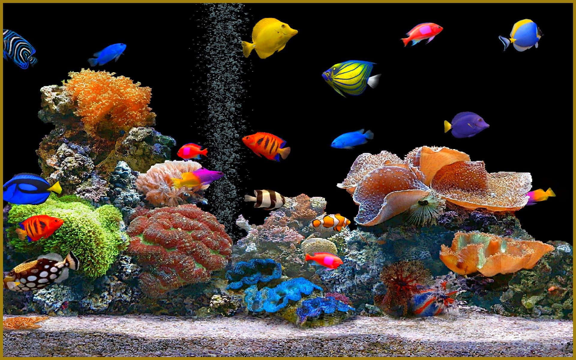 水族箱 桌布 壁紙 — 色彩繽紛的熱帶魚在深色背景和上升氣泡的熱鬧水族箱中，於多彩的珊瑚和海葵間游動。