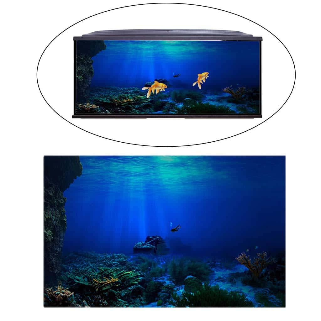 兩條金魚在藍色水下魚缸中游動，有珊瑚和陽光。