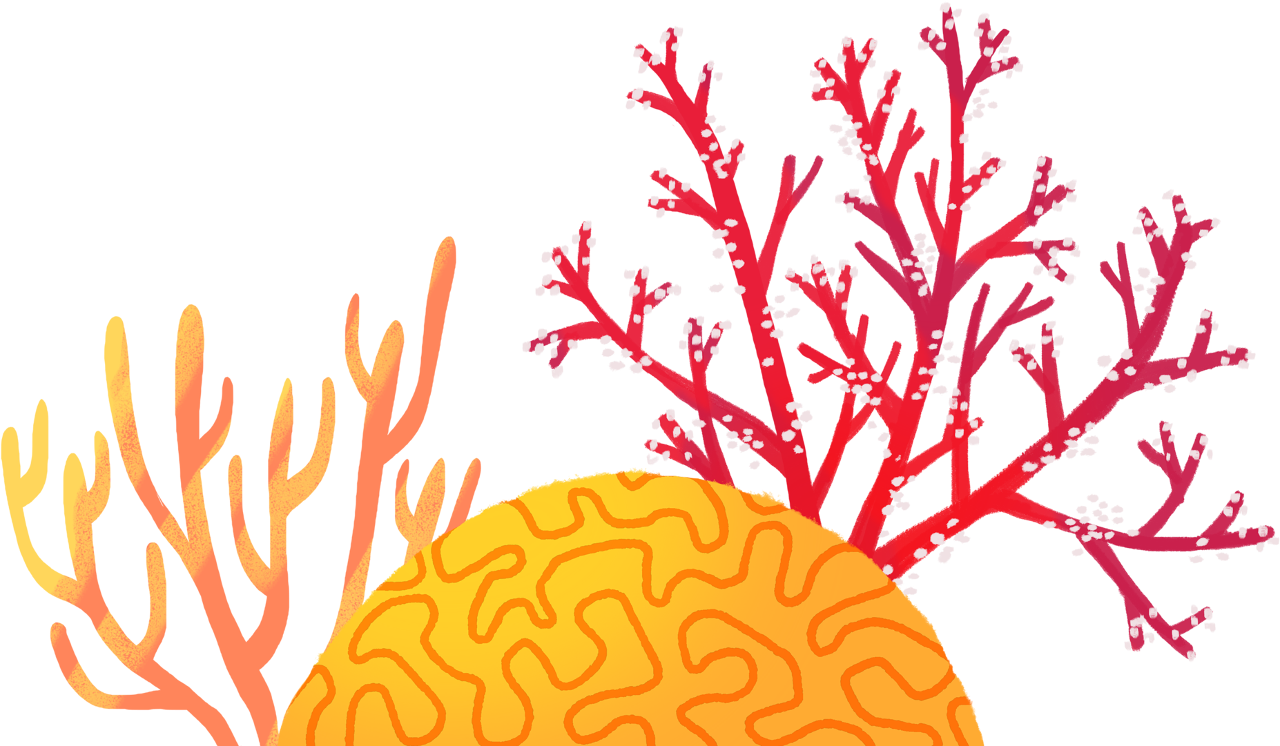 色彩繽紛的珊瑚礁插畫 壁紙 — 色彩鮮豔的珊瑚和腦珊瑚插圖，在純黑色背景上發光，帶有粗線條和漸變色調。