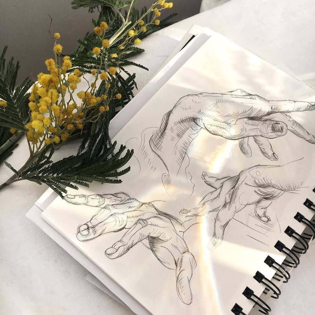 色彩繽紛的美學繪畫藝術 壁紙 — 一本帶有詳細手繪圖案的素描本，旁邊放著一枝黃色含羞草花，置於明亮的白色表面上。