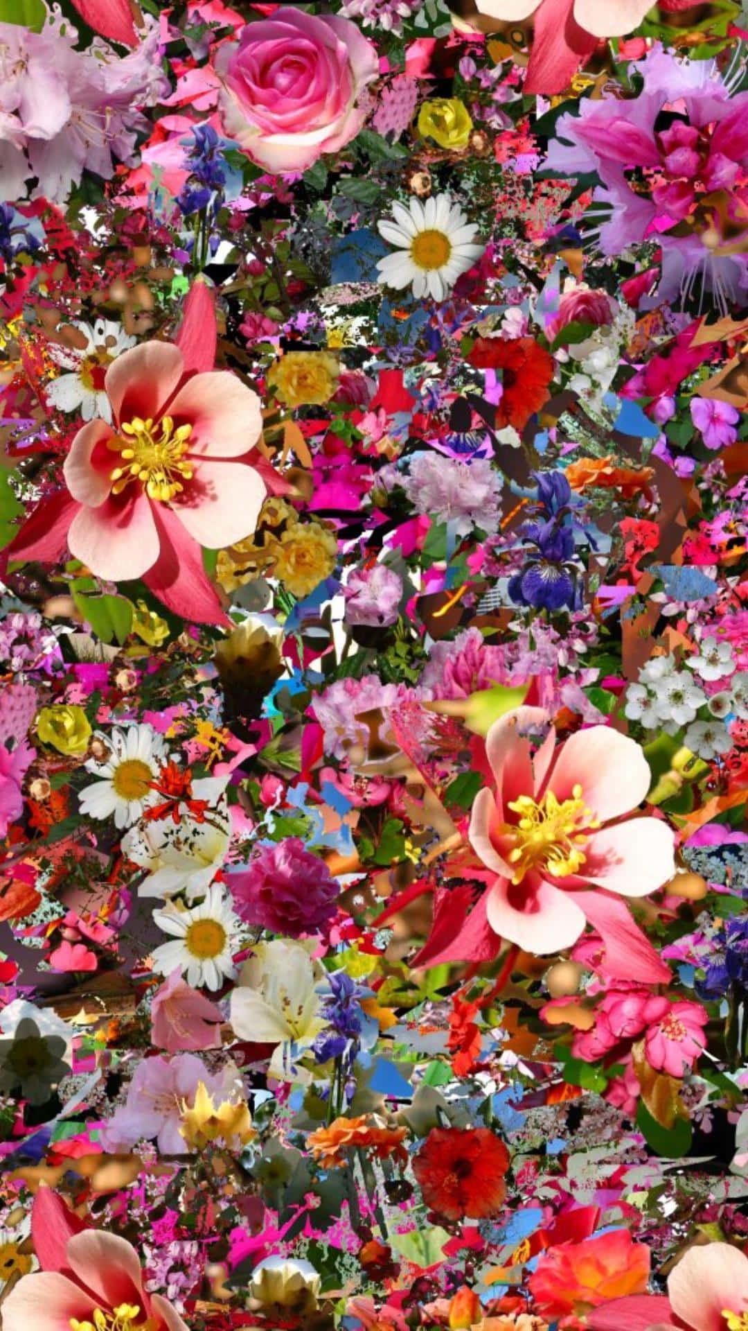 Psychedelic Flowers 桌布 壁紙 — 色彩繽紛的花朵在密集重疊的層次中爆炸式綻放，營造出茂盛的花卉掛毯。
