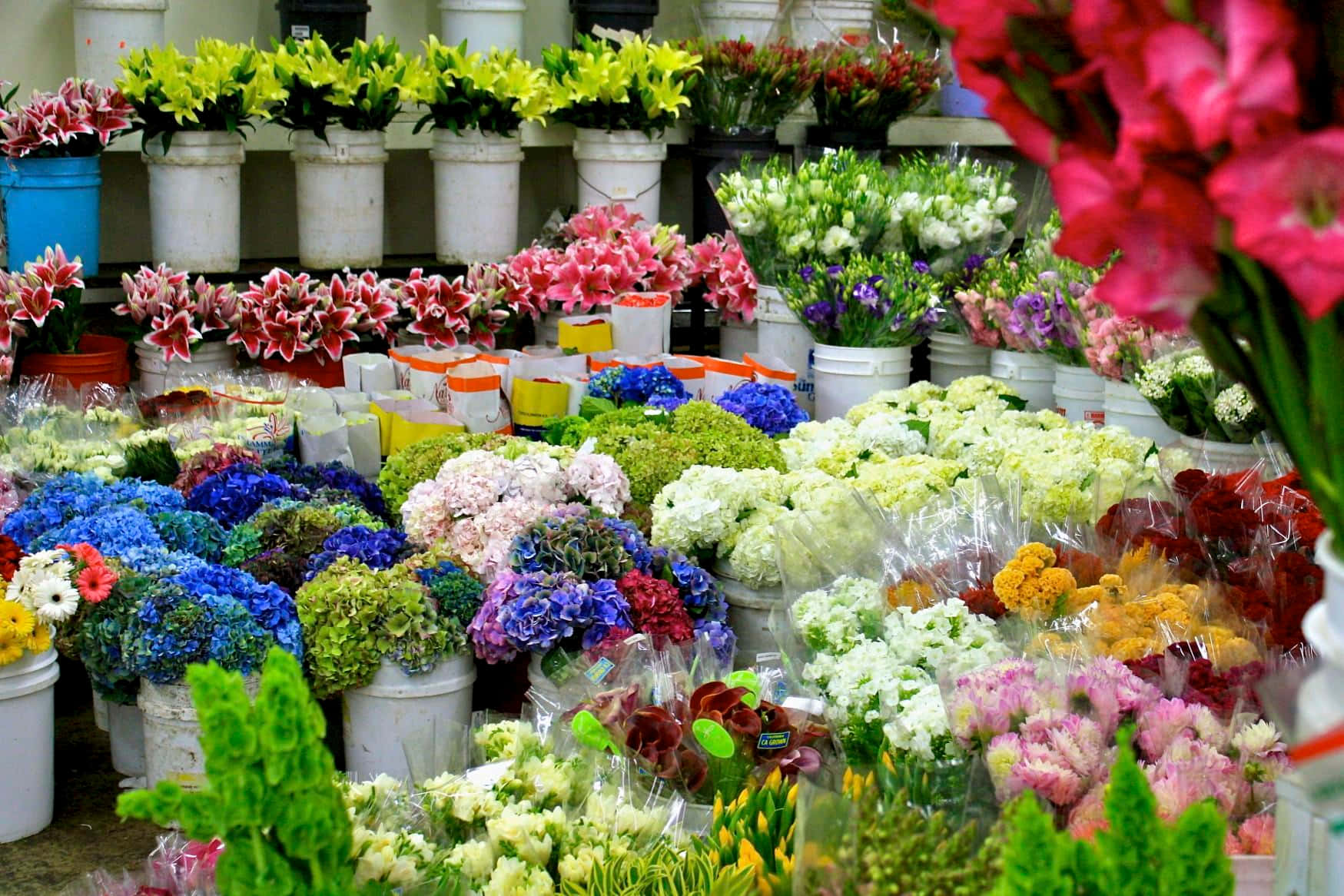 Flower Market 桌布 壁紙 — 色彩繽紛的花朵裝在桶子和花束中，充滿了熙攘的市場攤位，在明亮的日光下。
