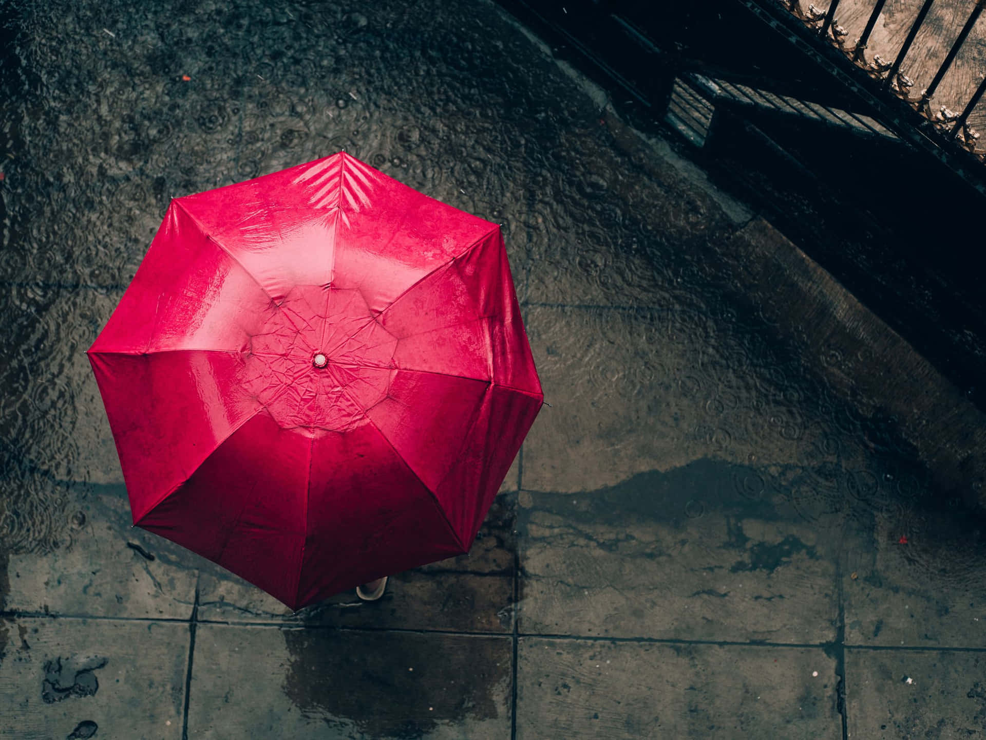 雨中濕滑路面上的紅色雨傘