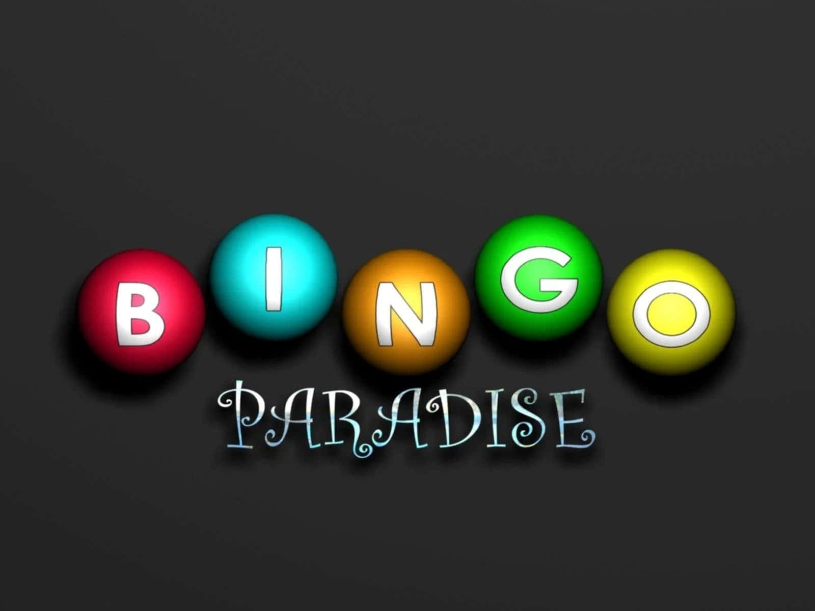 Bingo 桌布 壁紙 — 色彩繽紛的賓果球在深色背景上拼出 bingo，下方以華麗字體寫著 paradise。