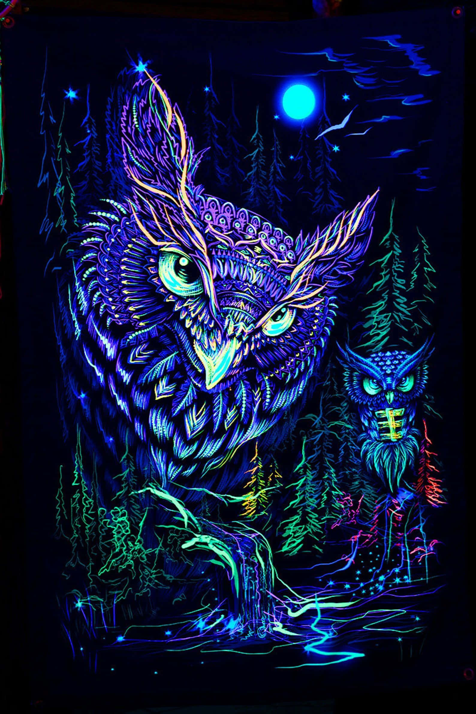 色彩繽紛的迷幻動物畫作 壁紙 — 一隻發光的霓虹貓頭鷹帶有複雜圖案，在明亮的藍月下從黑暗的森林中凝視著。