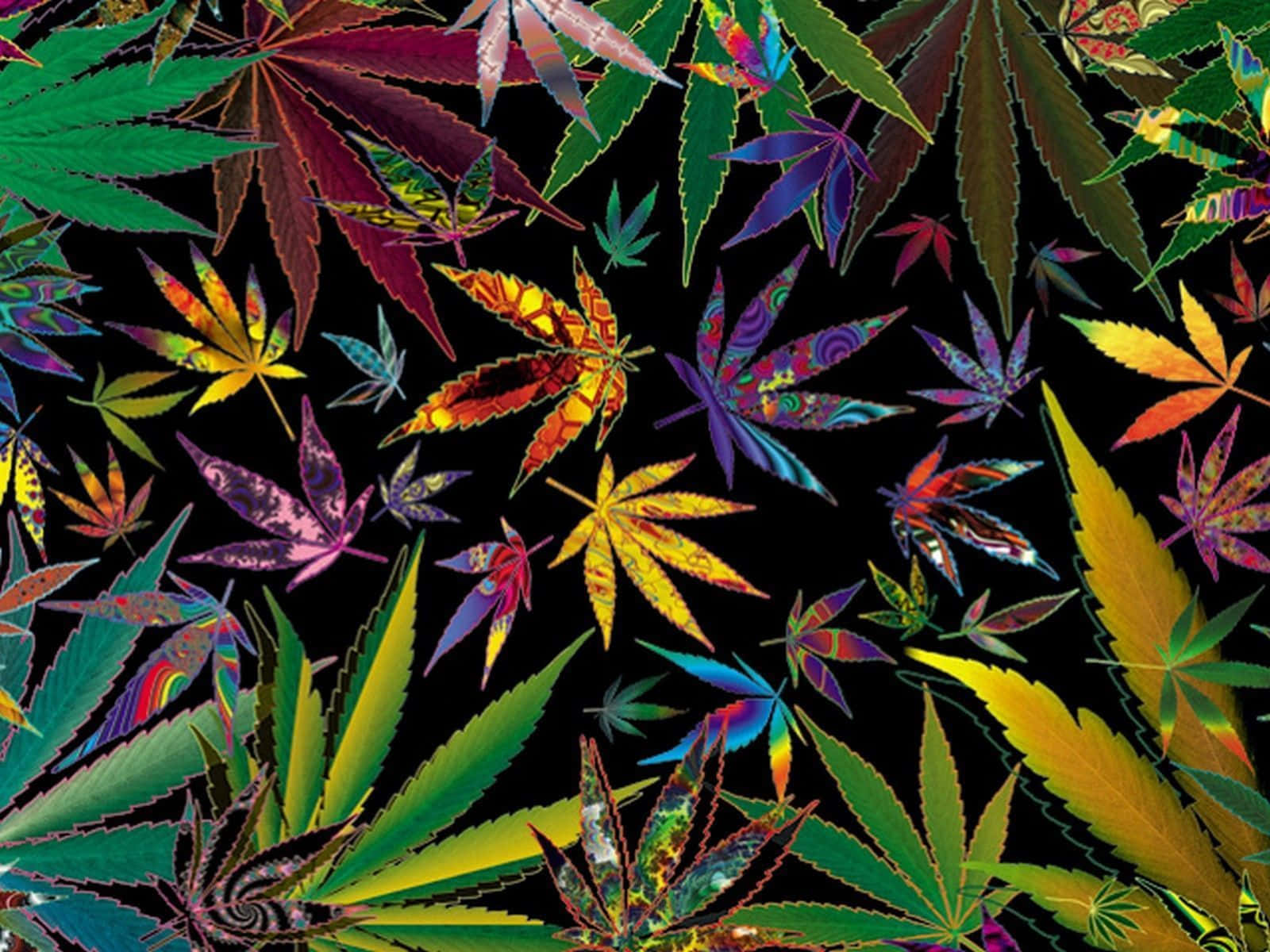 420 桌布 壁紙 — 色彩繽紛的迷幻大麻葉在純黑背景上漂浮。