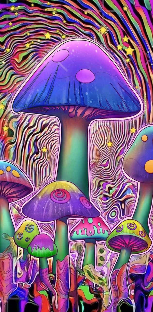 Trippy Mushroom 桌布 壁紙 — 色彩繽紛的迷幻蘑菇，帶有漩渦圖案和發光的星星，背景是萬花筒般的彩虹。