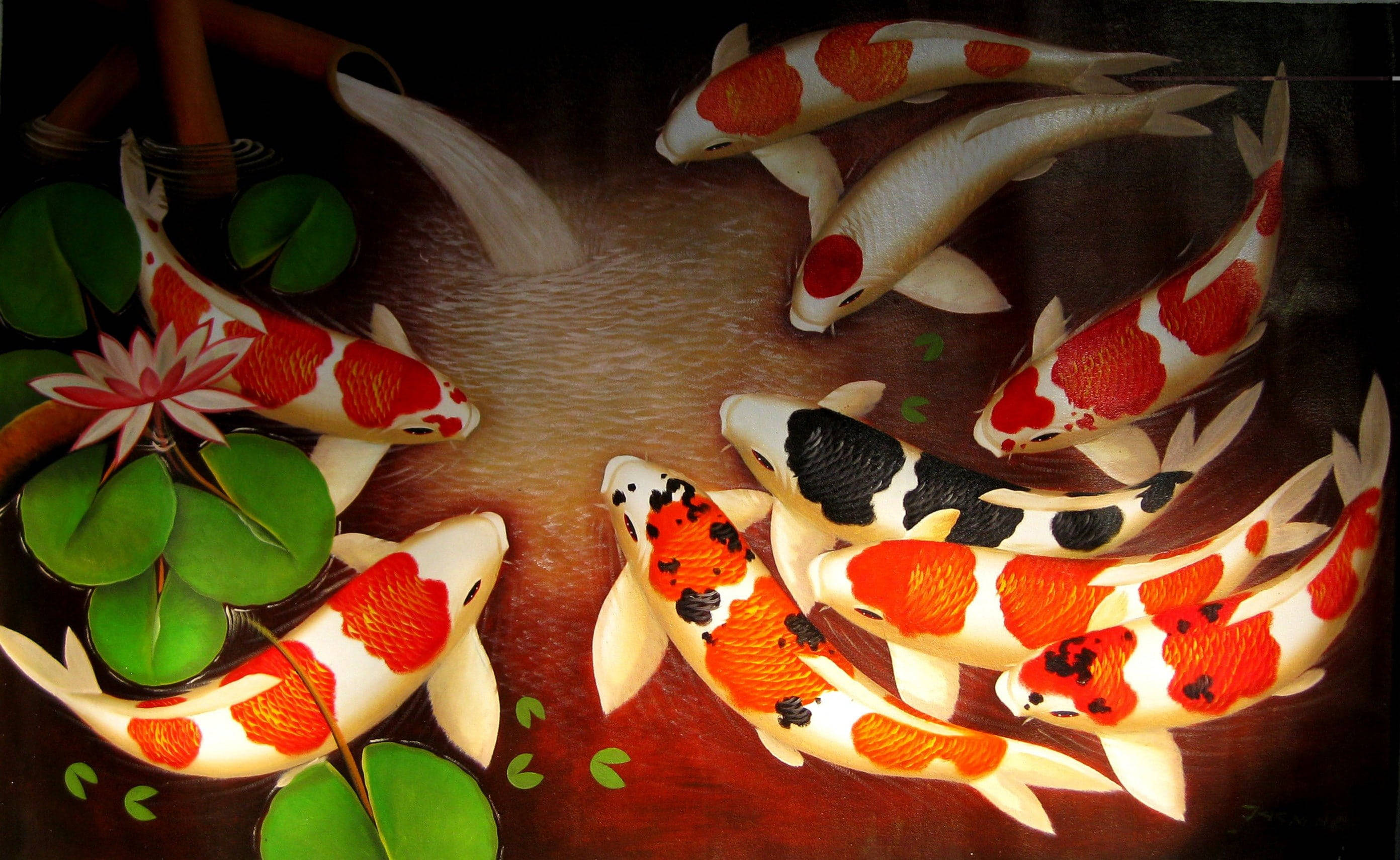 Beautiful Fish 桌布 壁紙 — 色彩繽紛的錦鯉在睡蓮葉和盛開的睡蓮周圍優雅地游動，池塘寧靜祥和。
