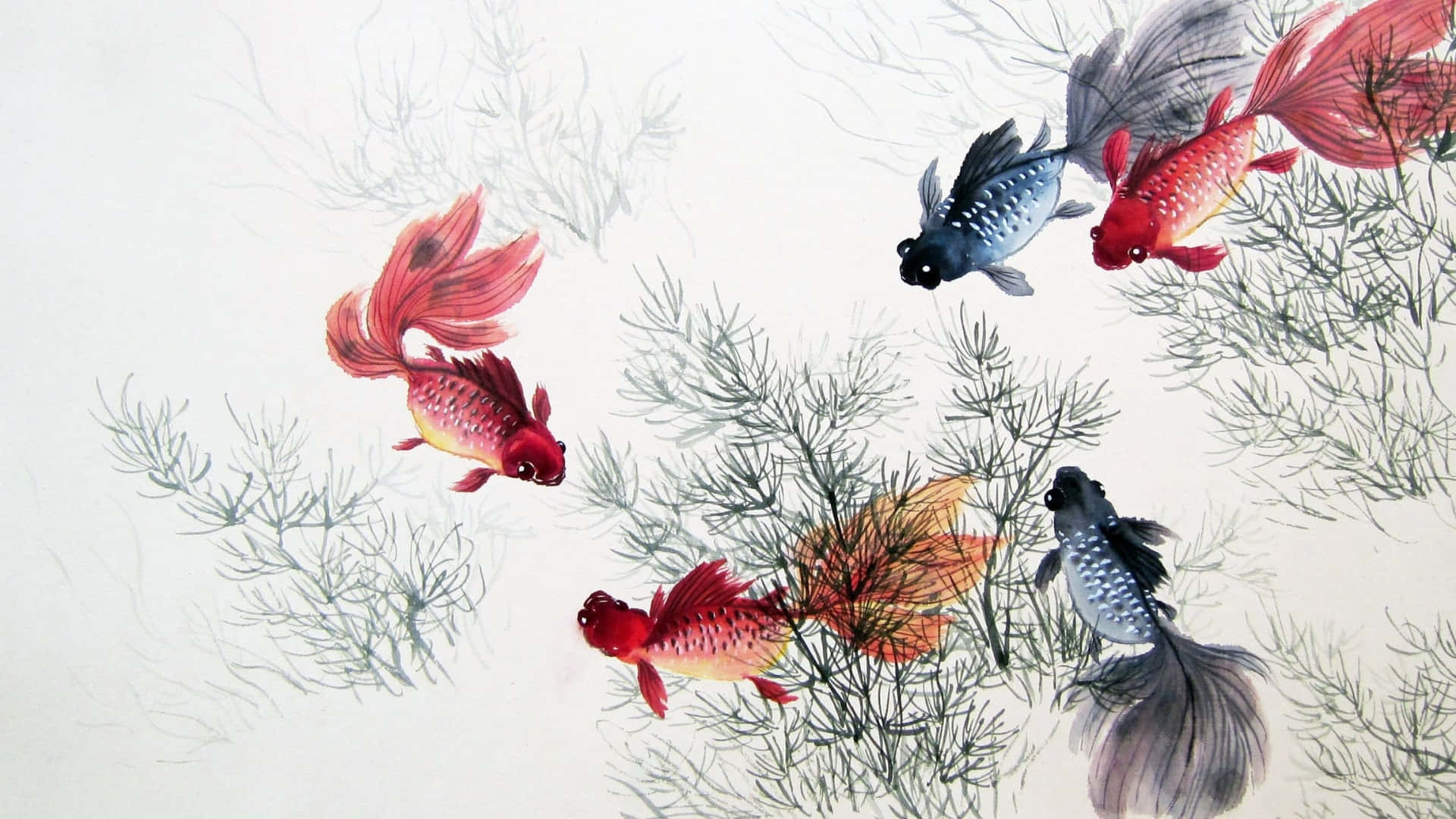五條觀賞金魚在經典中國水墨畫中穿過水生植物滑行。