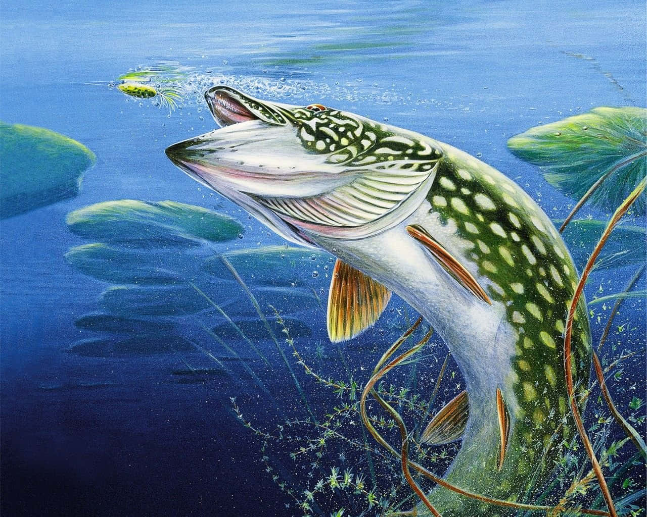 梭子魚從水中衝出，在睡蓮附近捕捉青蛙。