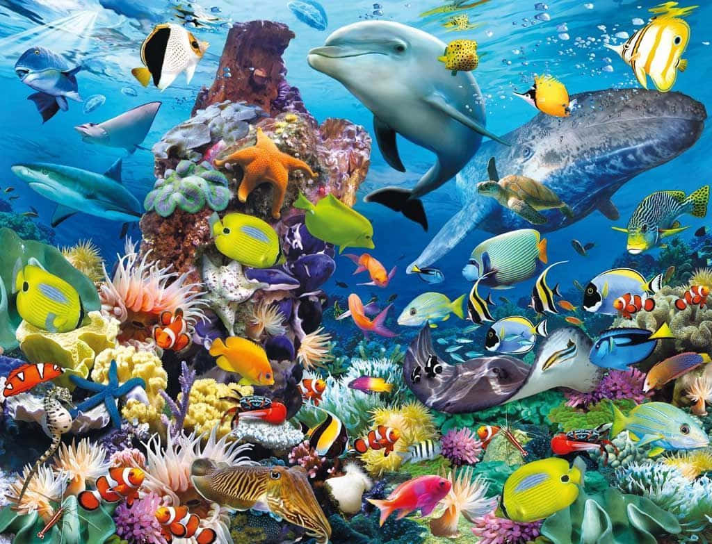 色彩繽紛的魚群在生機盎然的珊瑚礁中游動 壁紙 — 充滿活力的海底場景，色彩繽紛的熱帶魚、珊瑚礁和海豚在陽光照射的水面附近游動。