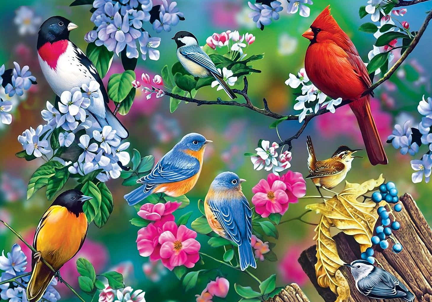 Spring Birds 桌布 壁紙 — 色彩繽紛的鳥兒棲息在盛開的粉紅色和白色花朵之間，綠意盎然的枝條上，構成充滿活力的春天景象。