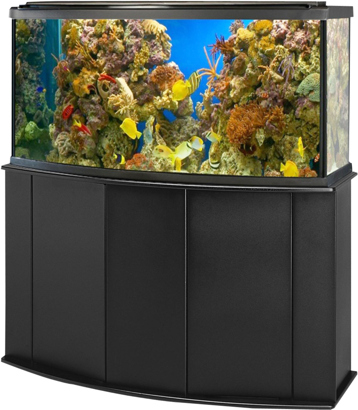 色彩繽紛角落水族箱佈置 壁紙 — 一個帶黑色支架的大型水族箱展示色彩繽紛的珊瑚和熱帶魚在清澈的藍色水中游動。