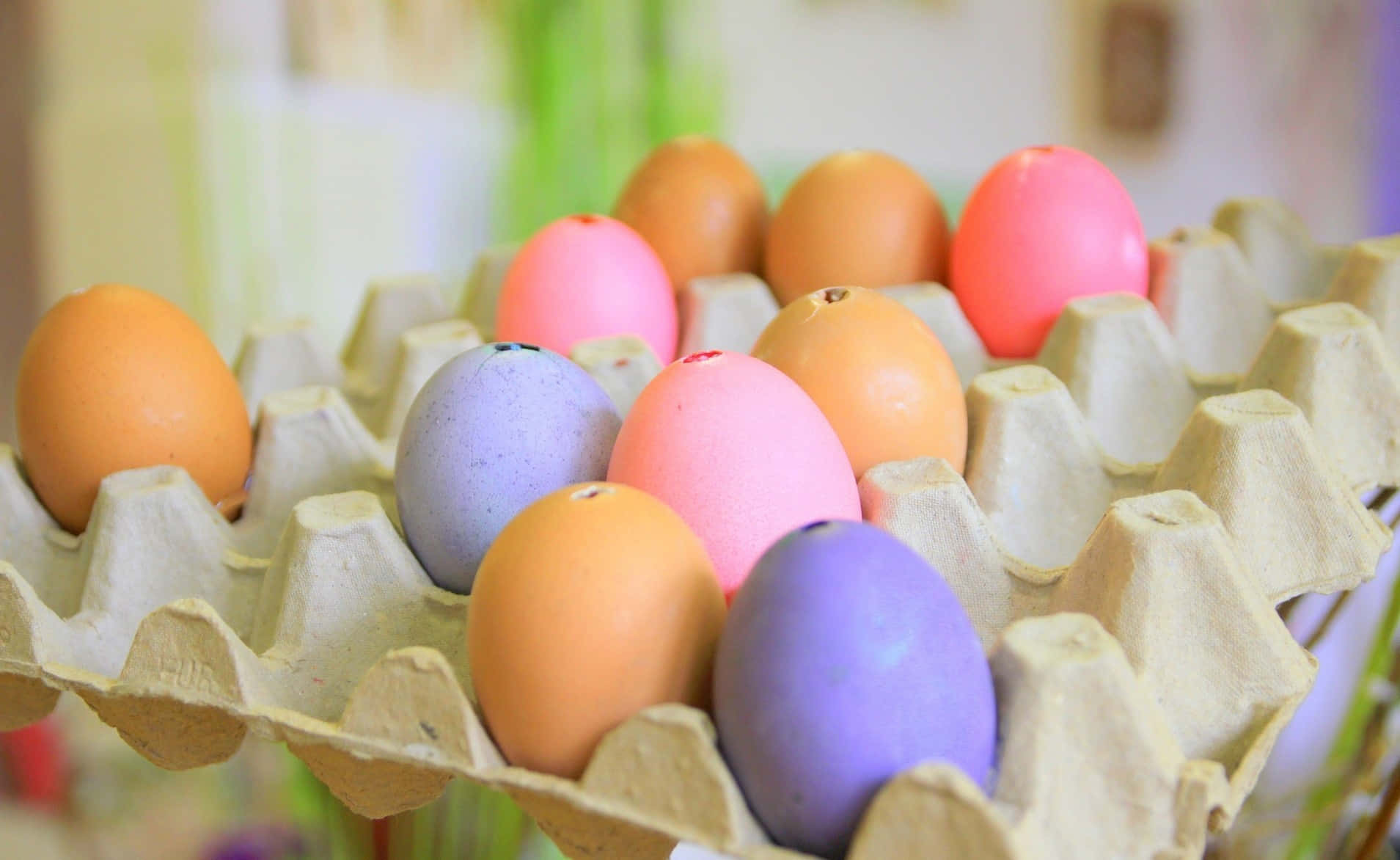 Eggs 桌布 壁紙 — 色彩鮮豔的復活節蛋特寫，整齊地放在紙板蛋盒中，背景柔和模糊。