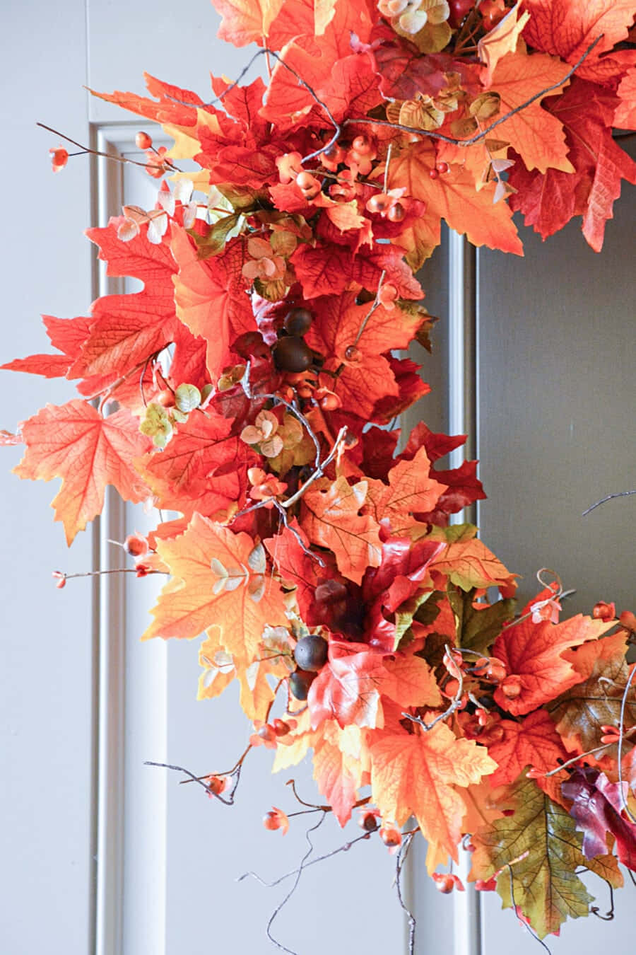 Fall Wreath 桌布 壁紙 — 色彩鮮豔的秋季樹葉花環，由紅色、橙色和黃色的楓葉、漿果和樹枝組成，掛在白色的門上。
