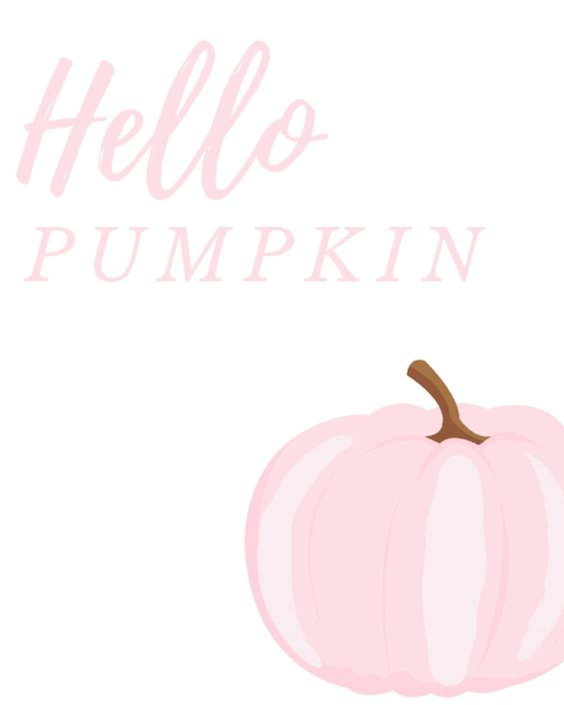 粉紅色南瓜，棕色莖，下方有 'Hello PUMPKIN' 文字。