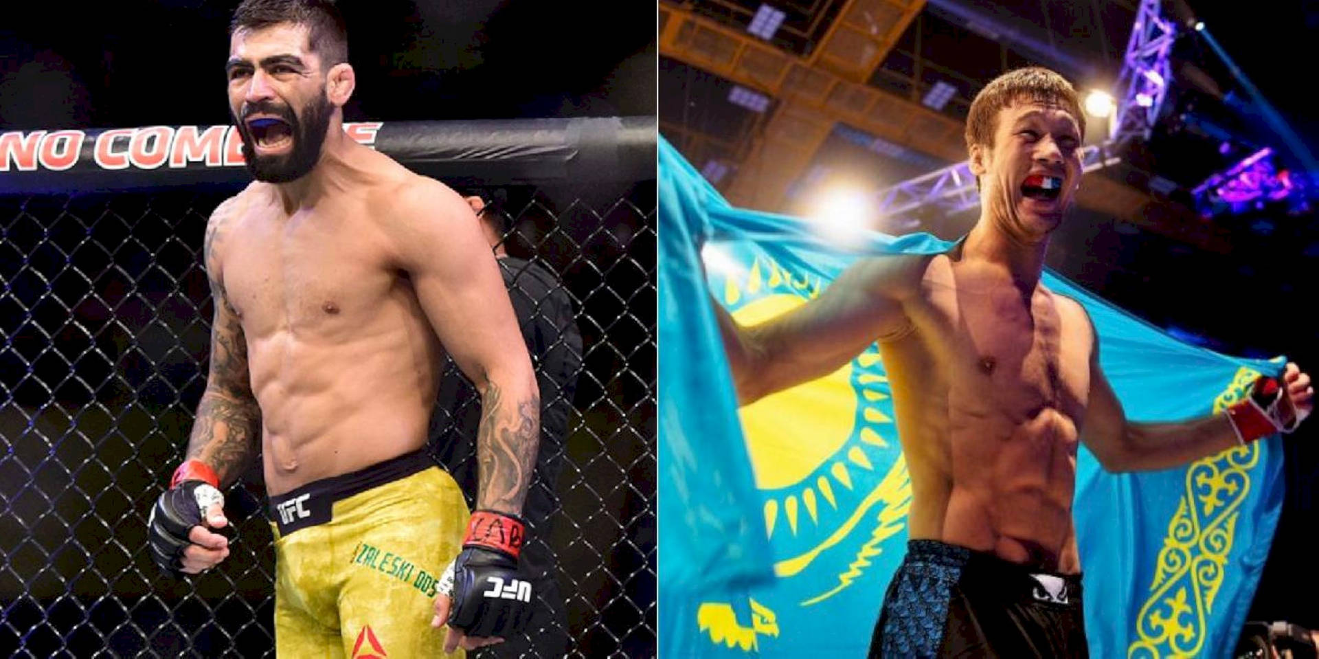 兩位勝利的MMA拳手在八角籠中慶祝，一位手持國旗。