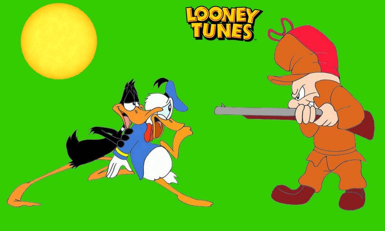 艾爾默·福德、達菲鴨、唐老鴨 壁紙 — Daffy Duck 和 Porky Pig 在黃色太陽下的一片明亮綠色田野中逃離獵人。