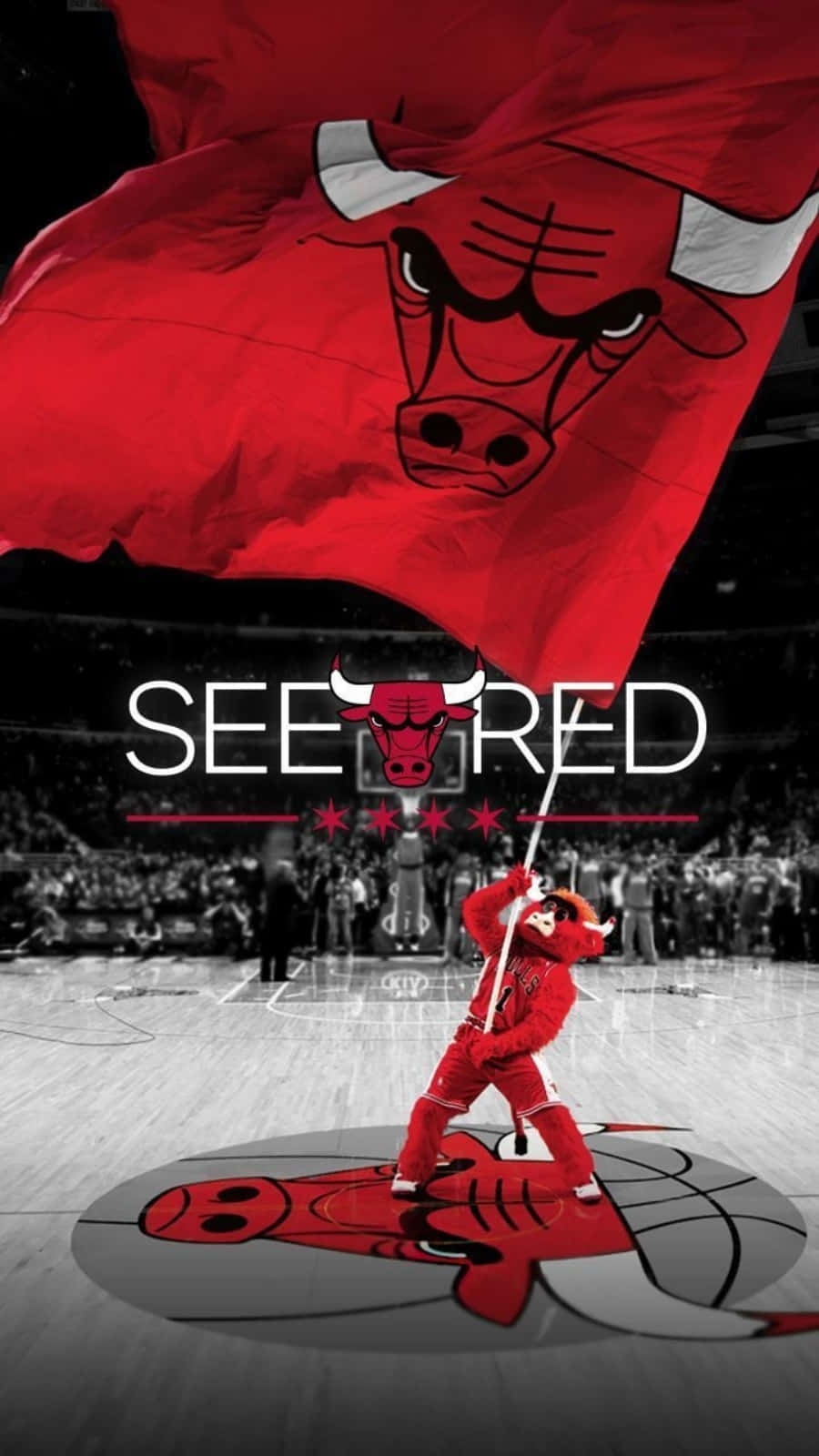 芝加哥公牛隊吉祥物在籃球場上揮舞隊旗，並帶有「SEE RED」字樣。