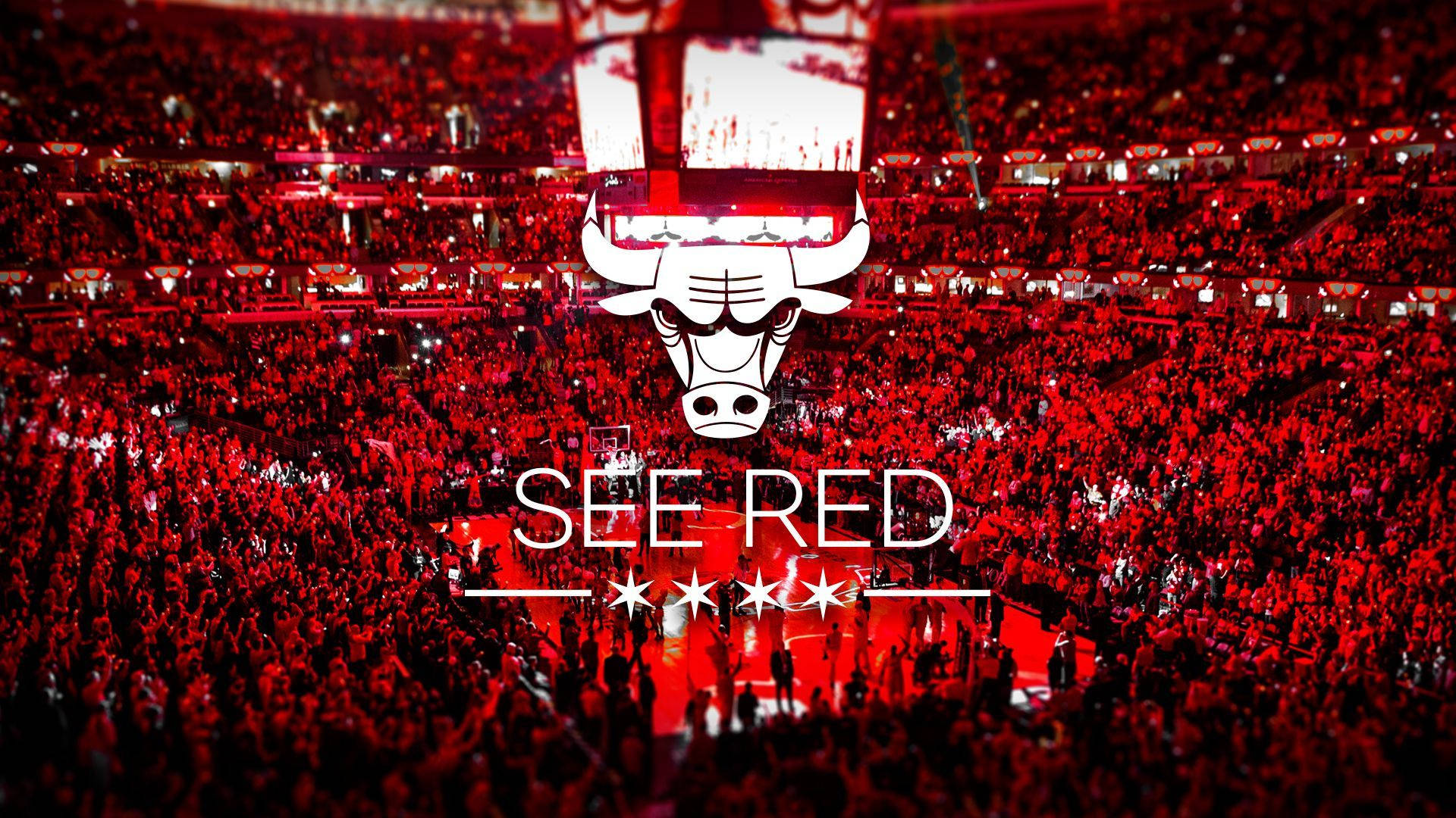 芝加哥公牛隊 See Red 壁紙 — 一個擠滿人的籃球場地沐浴在紅光中，大型公牛標誌和「SEE RED」文字顯眼地展示。