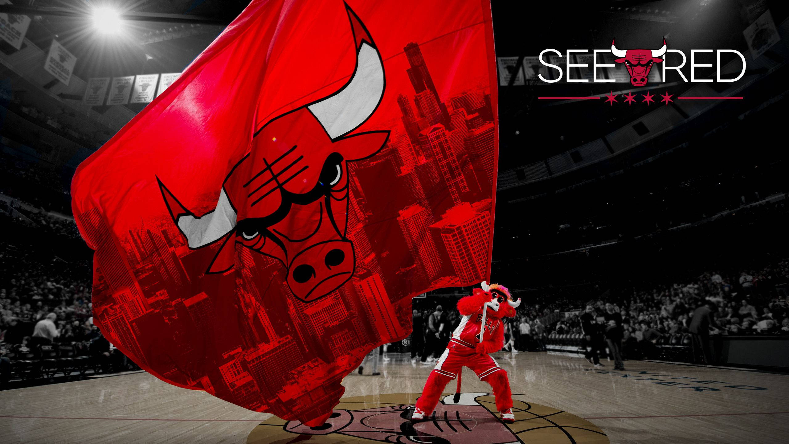 芝加哥公牛隊吉祥物Benny The Bull 壁紙 — 芝加哥公牛隊吉祥物在一個巨大的紅色公牛旗幟下，旗上有城市天際線剪影，自豪地站在籃球場上。