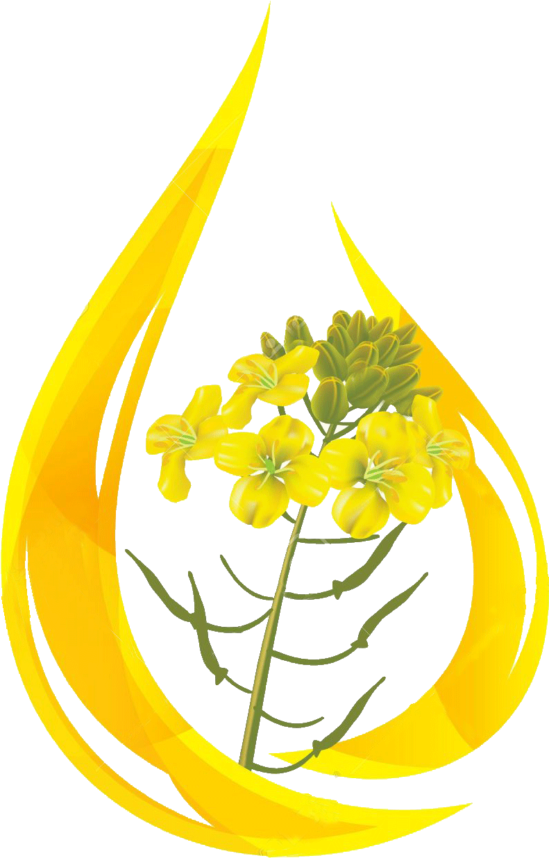 芥花火焰圖形 壁紙