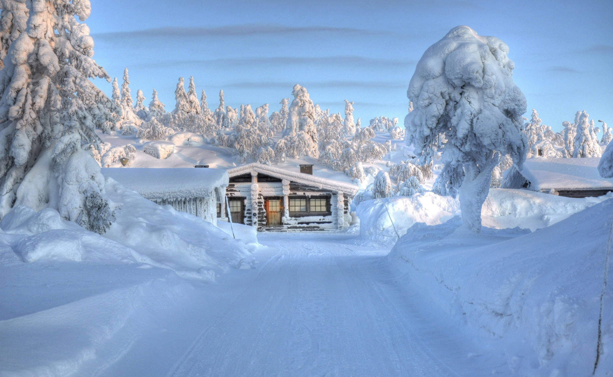 芬蘭冬季雪景 壁紙 — 一間舒適的木屋坐落在白雪皚皚的森林中，樹木掛滿積雪，上方是清澈的藍天。