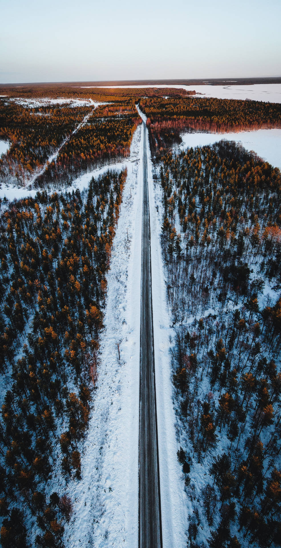 日落時分穿過森林的雪路，橙色和藍色色調