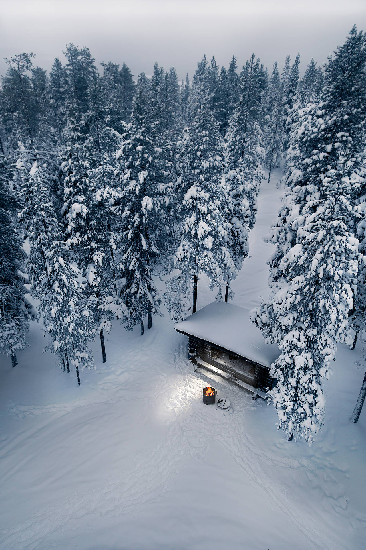 白雪覆蓋的松樹林中的小屋，附近有火光閃爍。