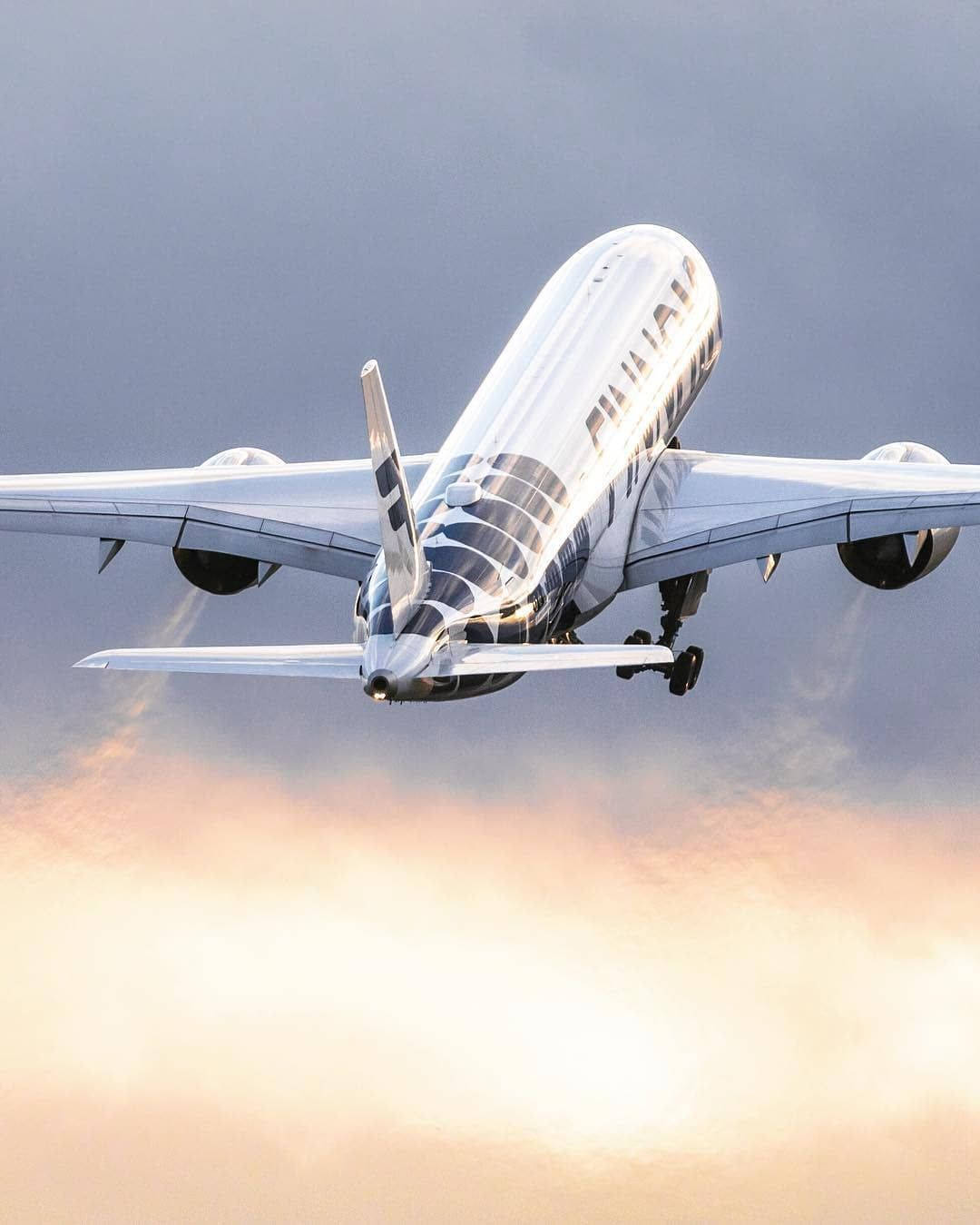 芬蘭航空的飛機上升至金色日落天空，帶有柔和雲朵。