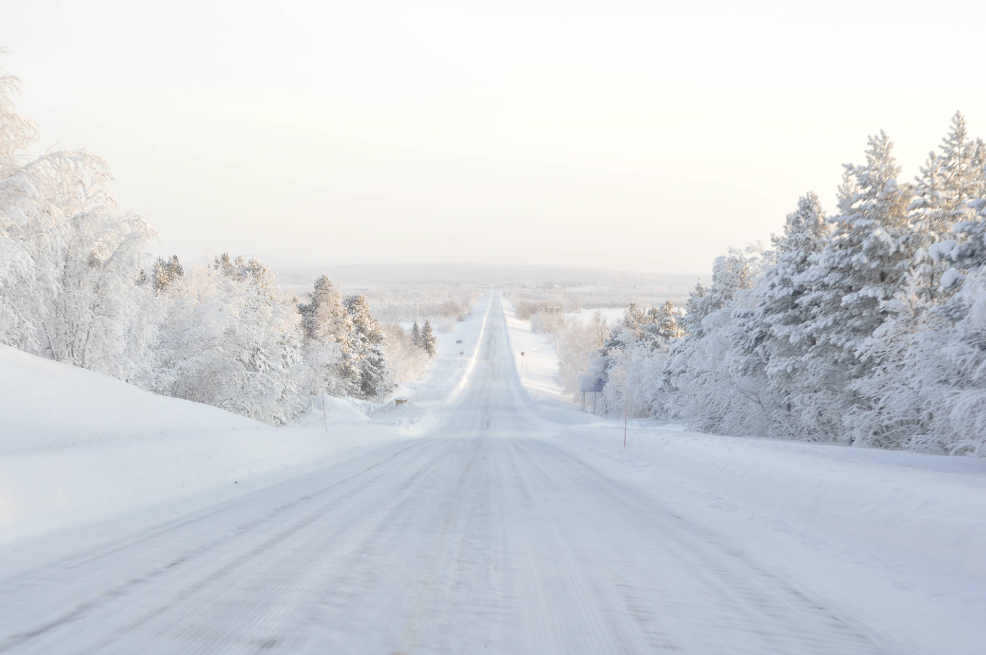 冬季森林中的雪路，樹木覆蓋著霜