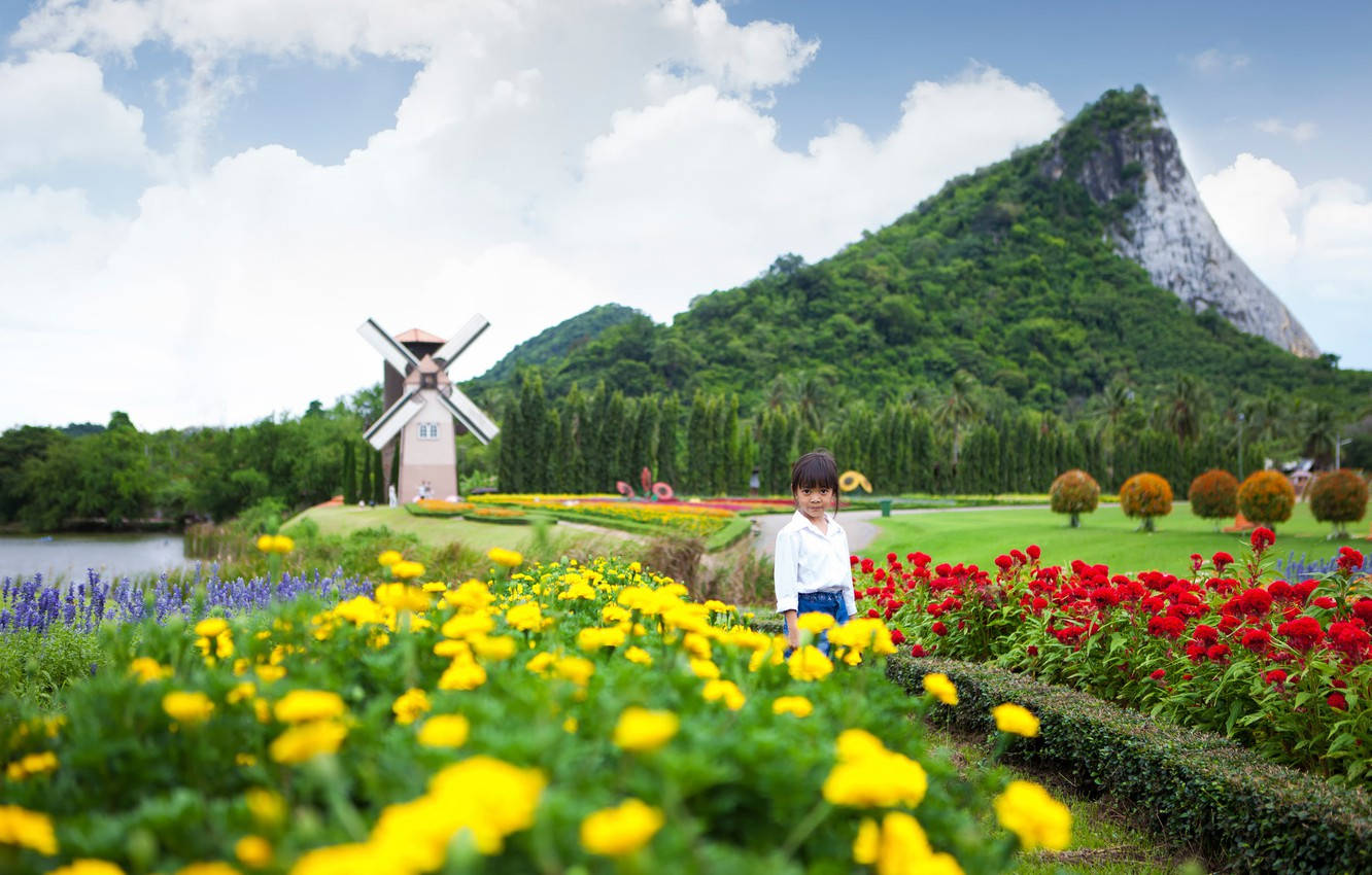 芭堤雅銀湖酒莊花園 壁紙 — 一個小女孩站在一個充滿活力的花園中，有黃色和紅色的花朵、一座風車和一座鬱鬱蔥蔥的綠色山脈，天空部分多雲。