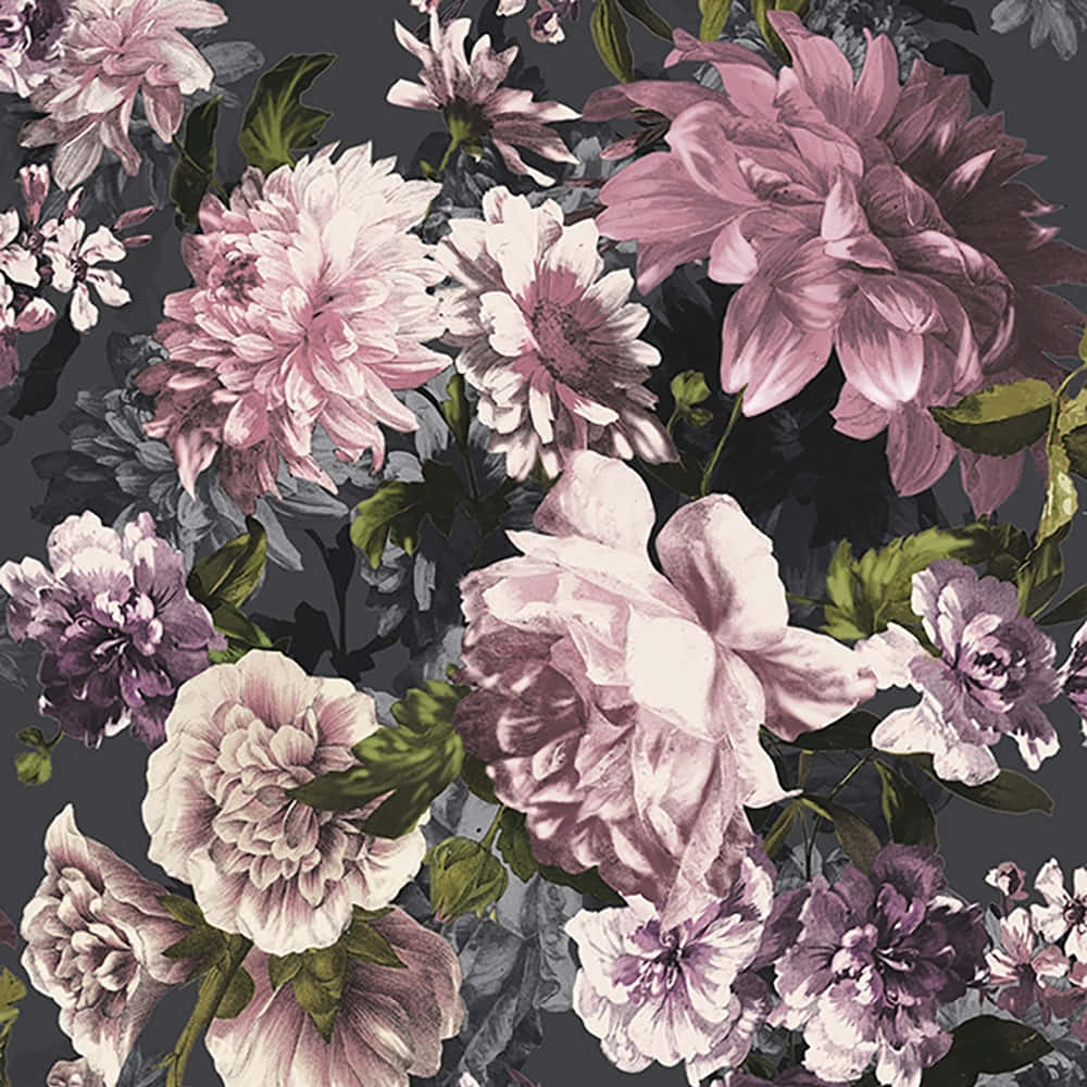 花卉背景 壁紙