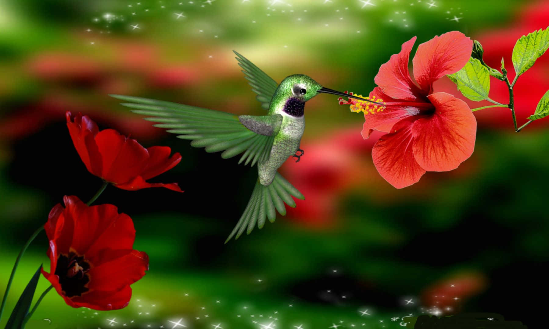 「花園中歇息的蜂鳥」 壁紙
