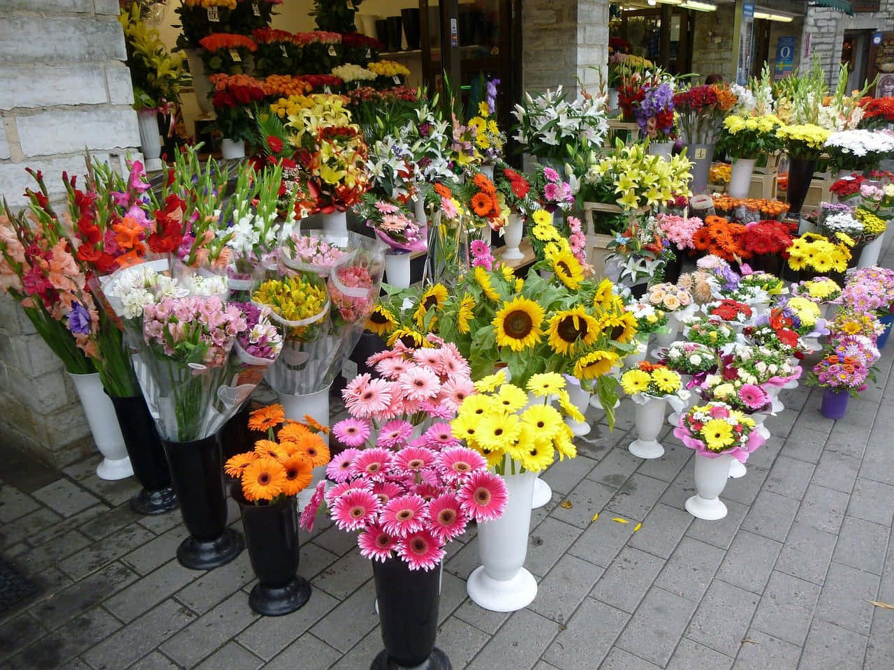 Florist 桌布 壁紙 — 花店外嘅石砌行人路上，擺放咗白色同黑色花瓶插住嘅向日葵、非洲菊同劍蘭嘅鮮豔花束。
