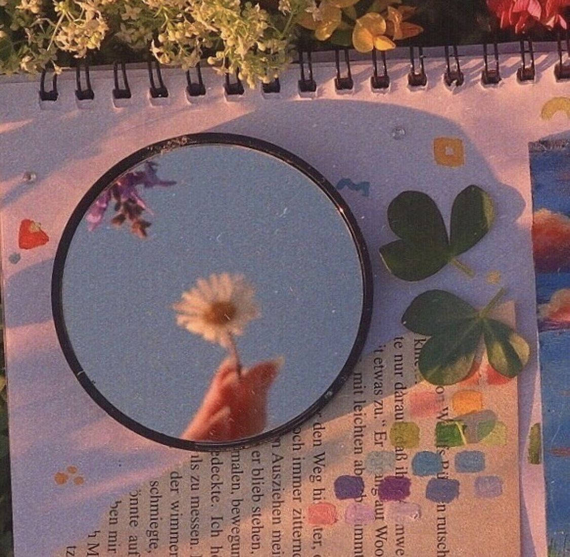 花影鏡中鄉村風桌面壁紙 壁紙 — 一隻手拿著一朵雛菊，倒映在一個圓鏡中，鏡子放在一本裝飾著三葉草和花朵的筆記本上，在溫暖的陽光下。