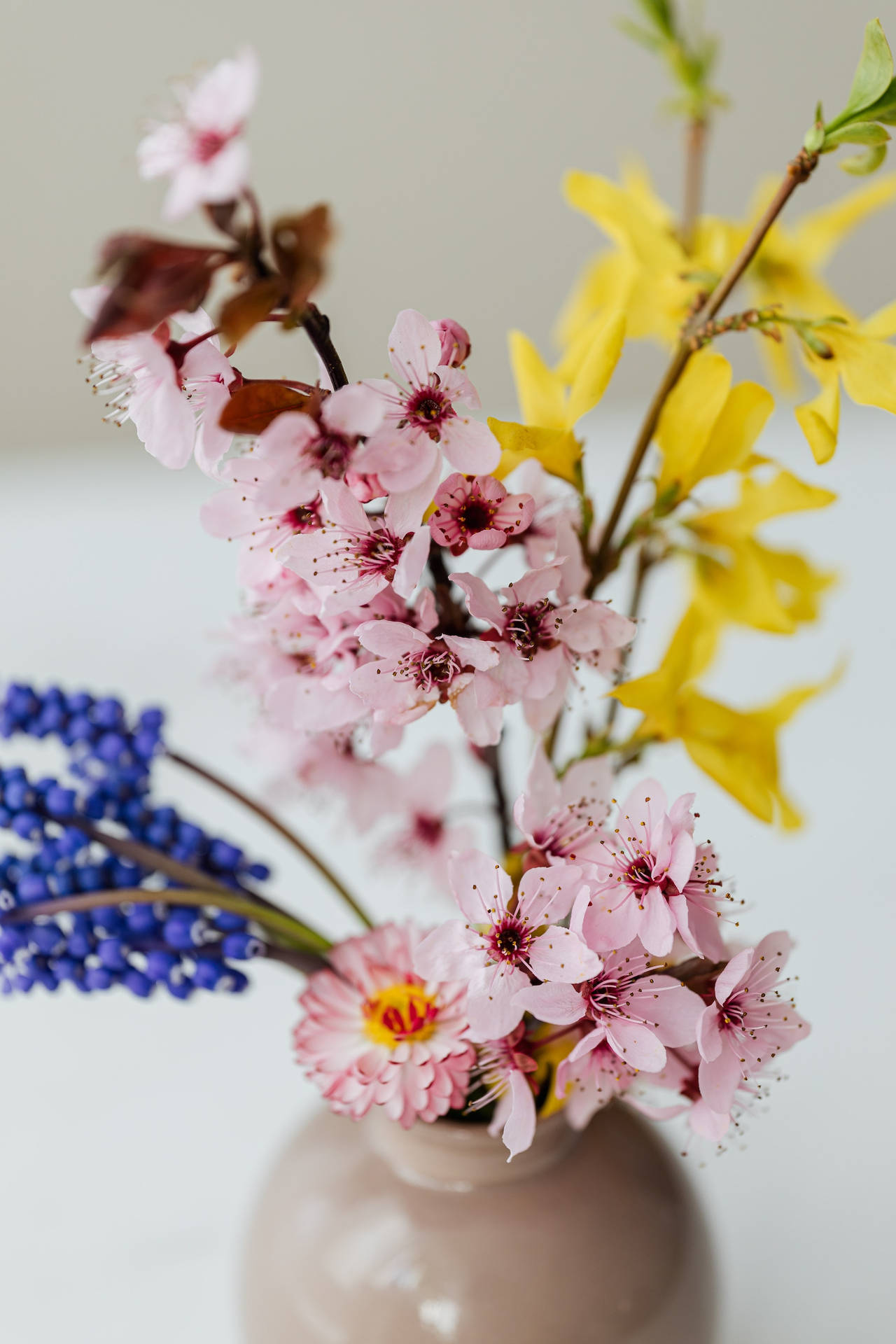 一個花瓶，裡面有粉紅色櫻花、黃色連翹和藍色風信子，色調柔和粉彩。