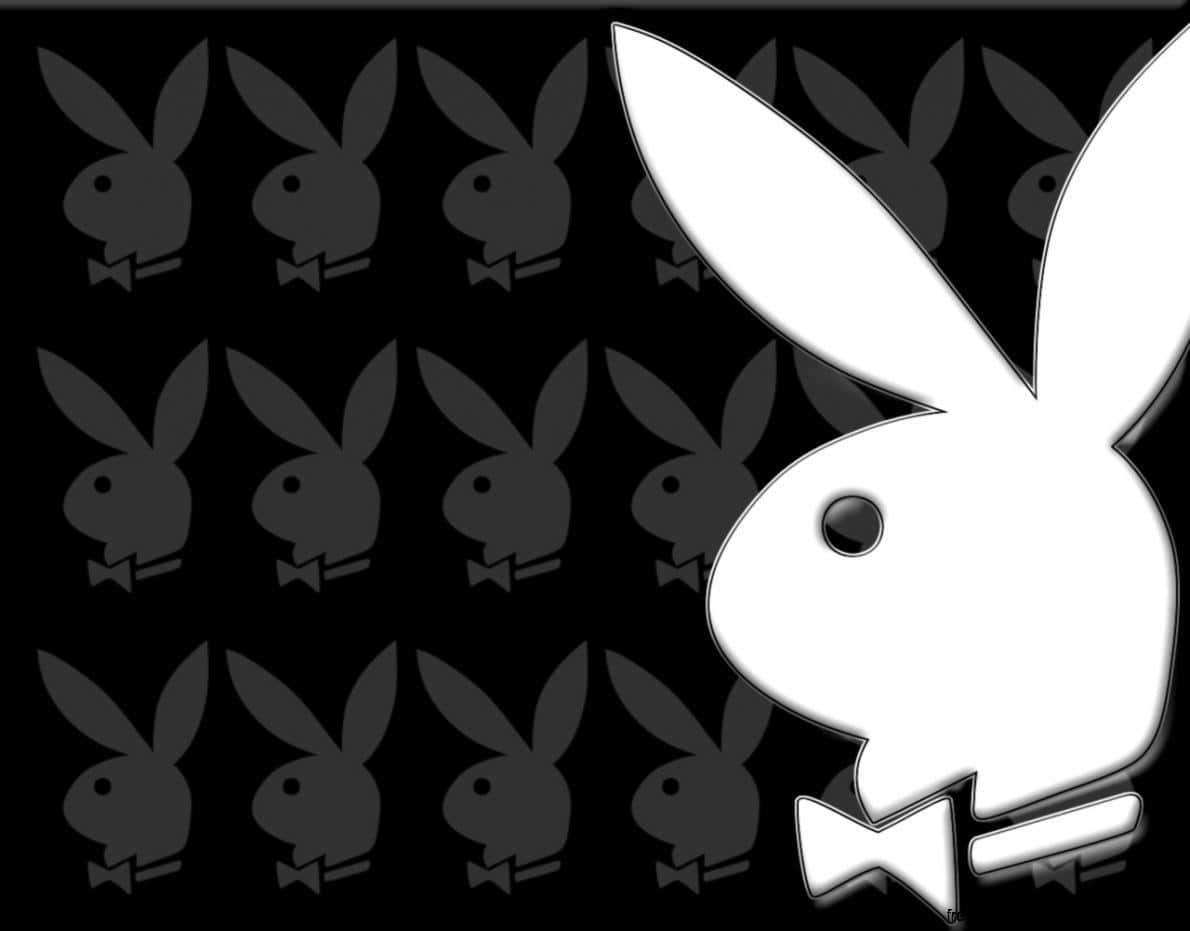 Playboy兔仔標誌，黑色背景上重複灰色剪影。
